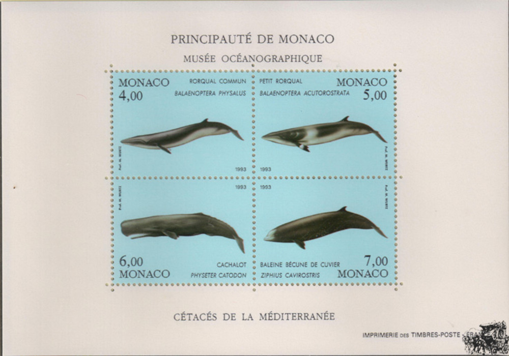 Wale II ** 1993, Monaco
