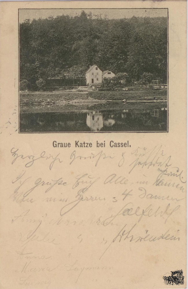 Ansichtskarte Graue Katze bei Kassel 1895