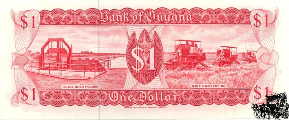 1 Dollar 1992 - Guyana