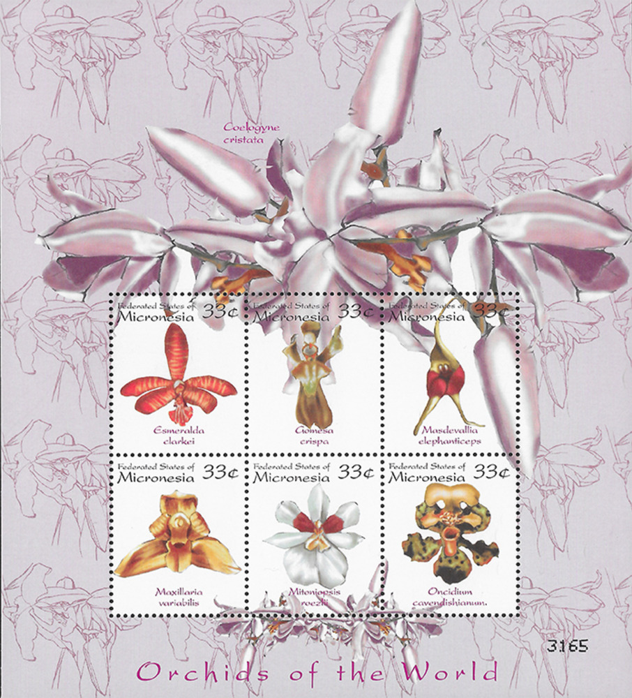 Mikronesien 2000 ** - Orchideen, lila