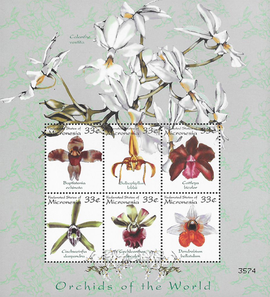Mikronesien 2000 ** - Orchideen, grün