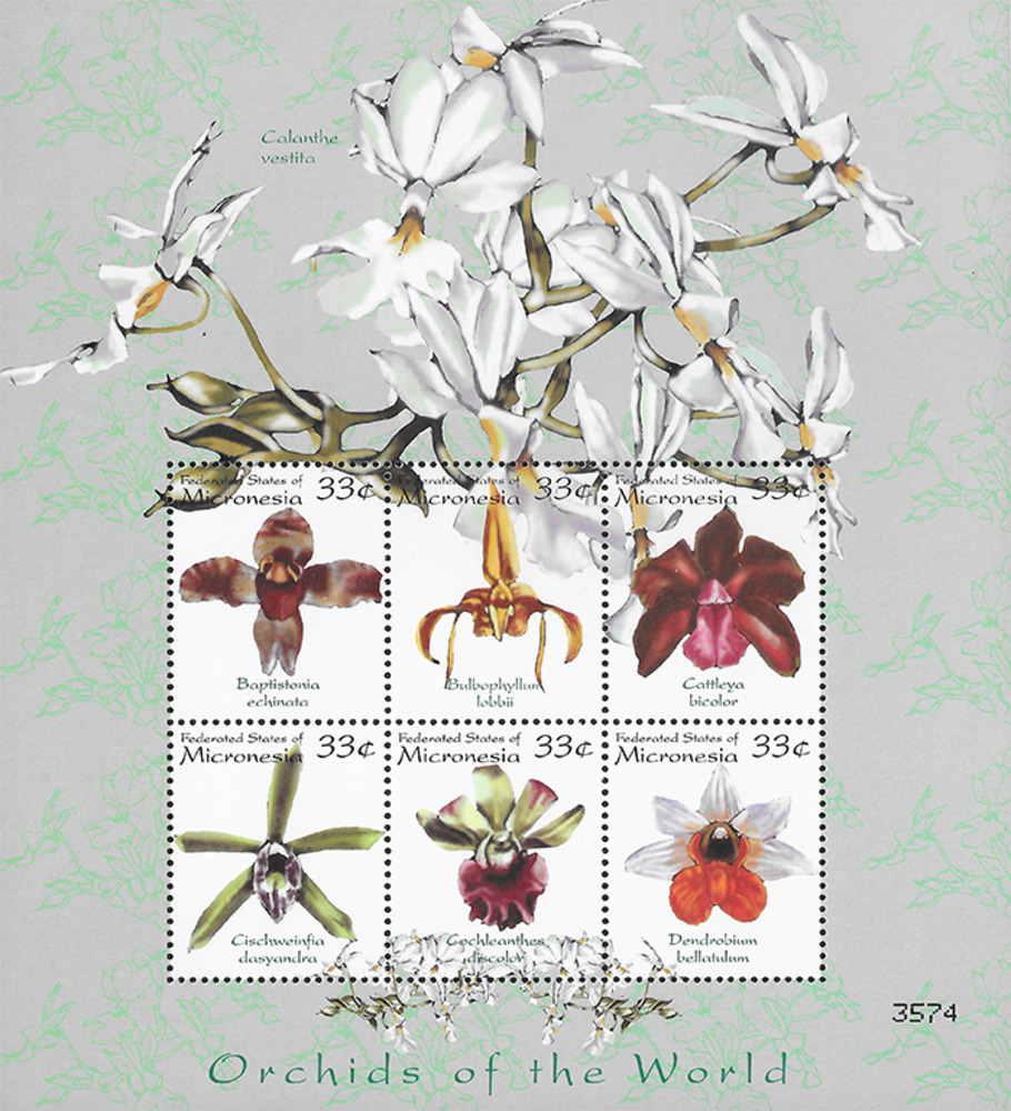Mikronesien 2000 ** - Orchideen, grün Mikronesien 2000 ** - Orchideen, grün