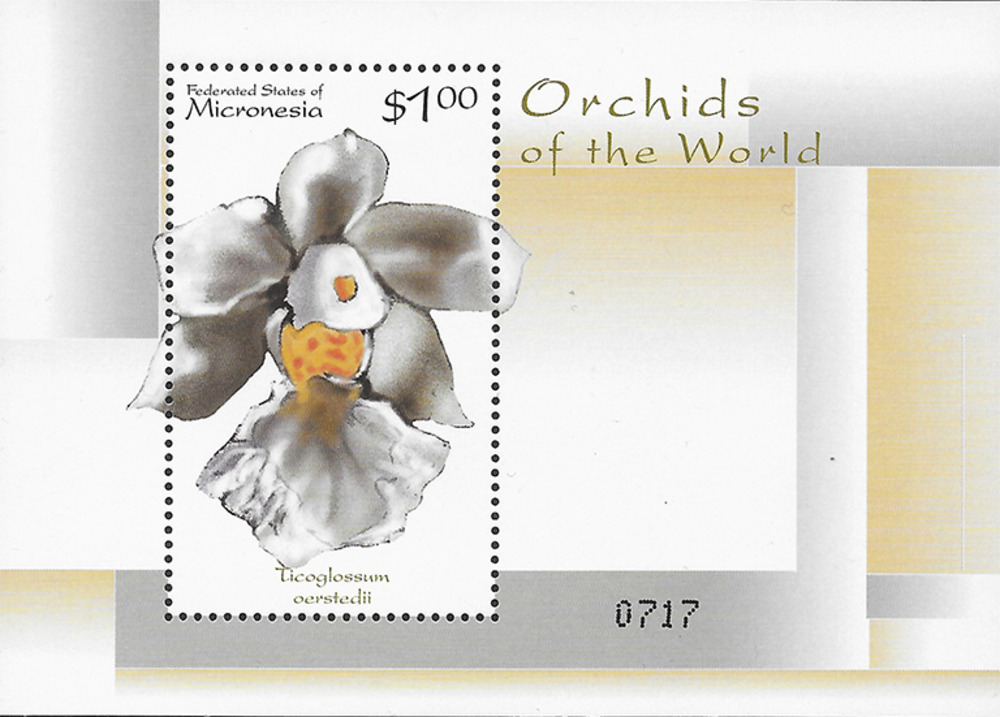 Mikronesien 2000 ** - Orchideen, Ticoglossum oerstedii Mikronesien 2000 ** - Orchideen, Ticoglossum oerstedii