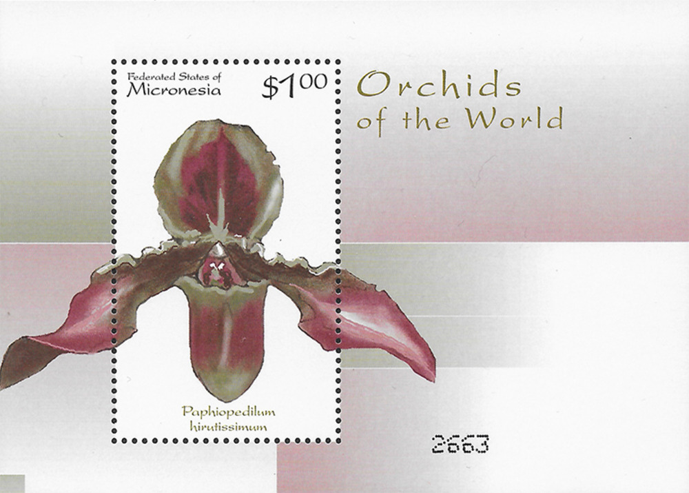 Mikronesien 2000 ** - Orchideen, Paphiopedilum hirsutissimum