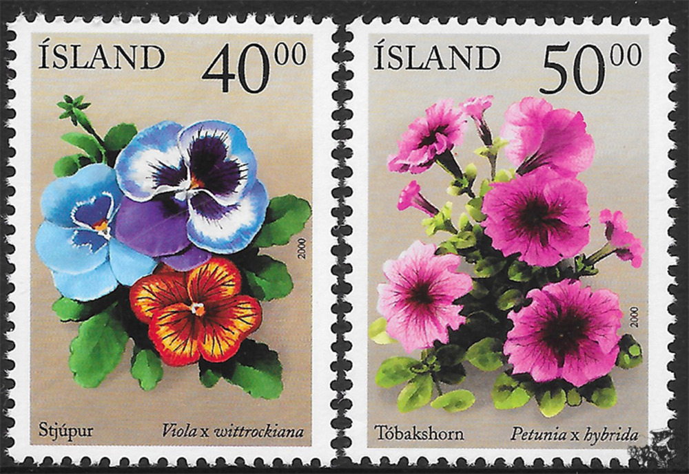 Island 2000 ** - Sommerblumen 