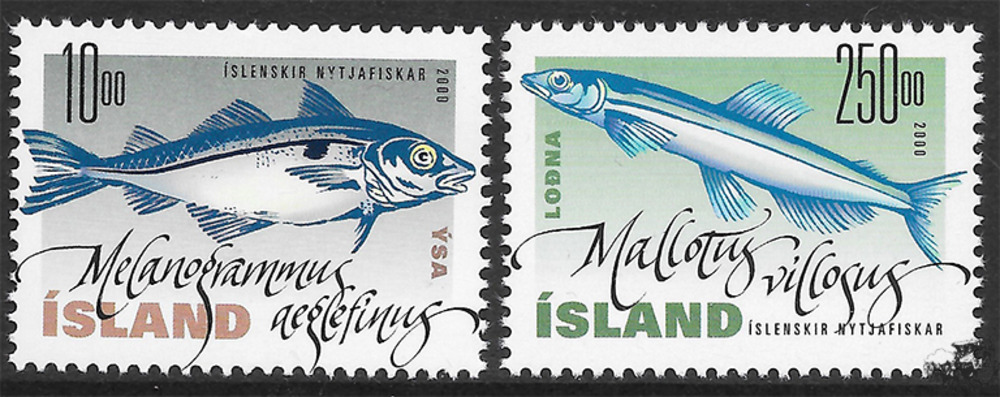 Island 2000 ** - Nutzfische (III)