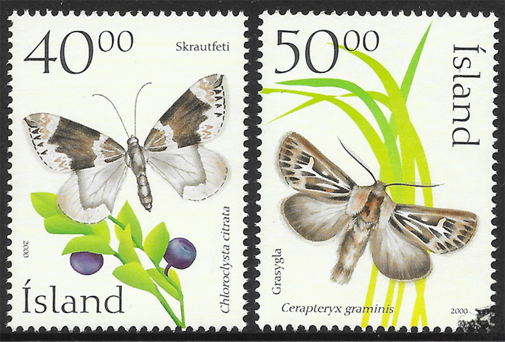 Island 2000 ** - Schmetterlinge 