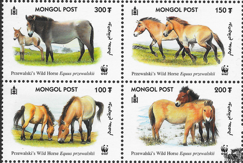 Mongolei 2000 ** - Przewalski-Pferd (I).