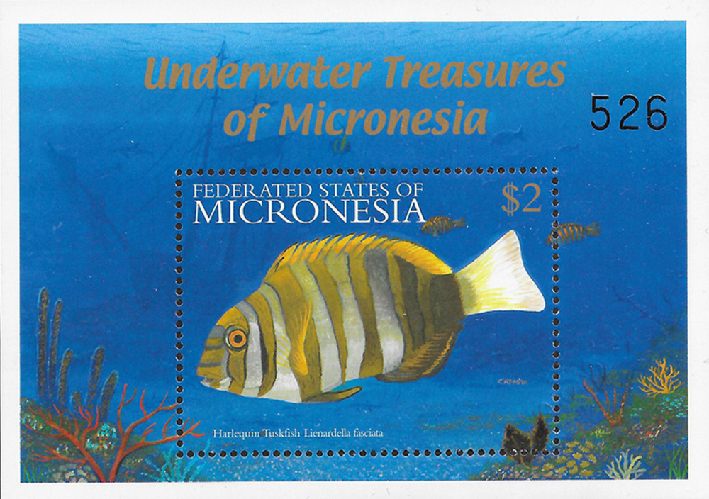 Mikronesien 2001 ** - einheimische Meerestiere, Harlekinfisch