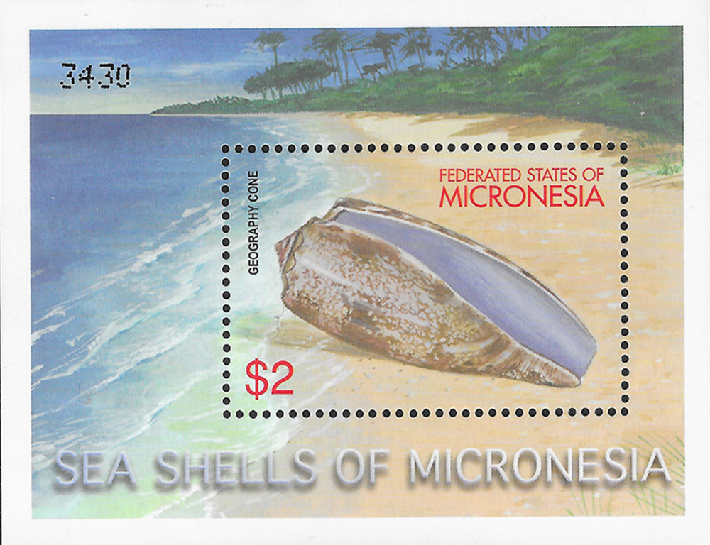Mikronesien 2001 ** - Landkarten-Kegelschnecke