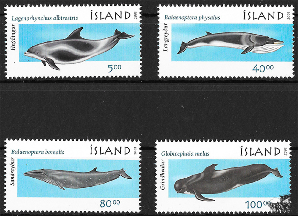 Island 2001 ** - Wale und Delphine