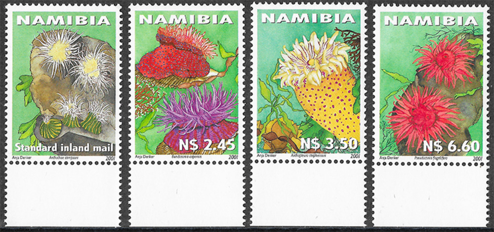 Namibia 2001 ** - Einheimische Seeanemonen