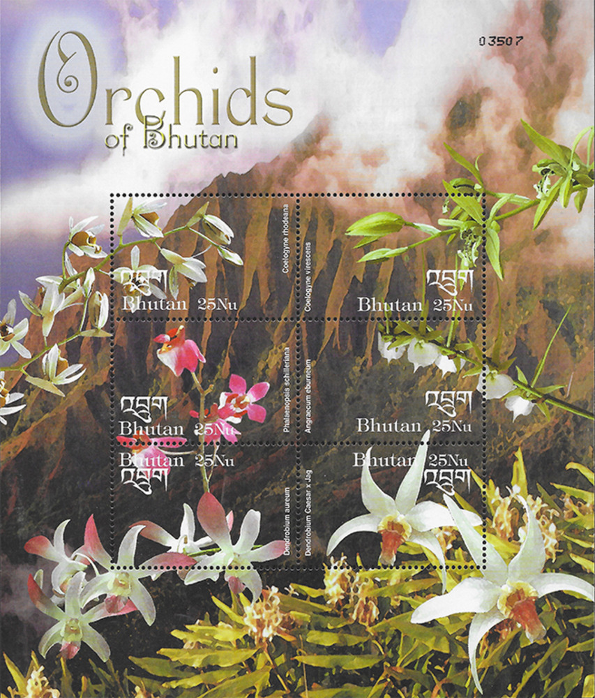 Bhutan 2002 ** - Einheimische Orchideen