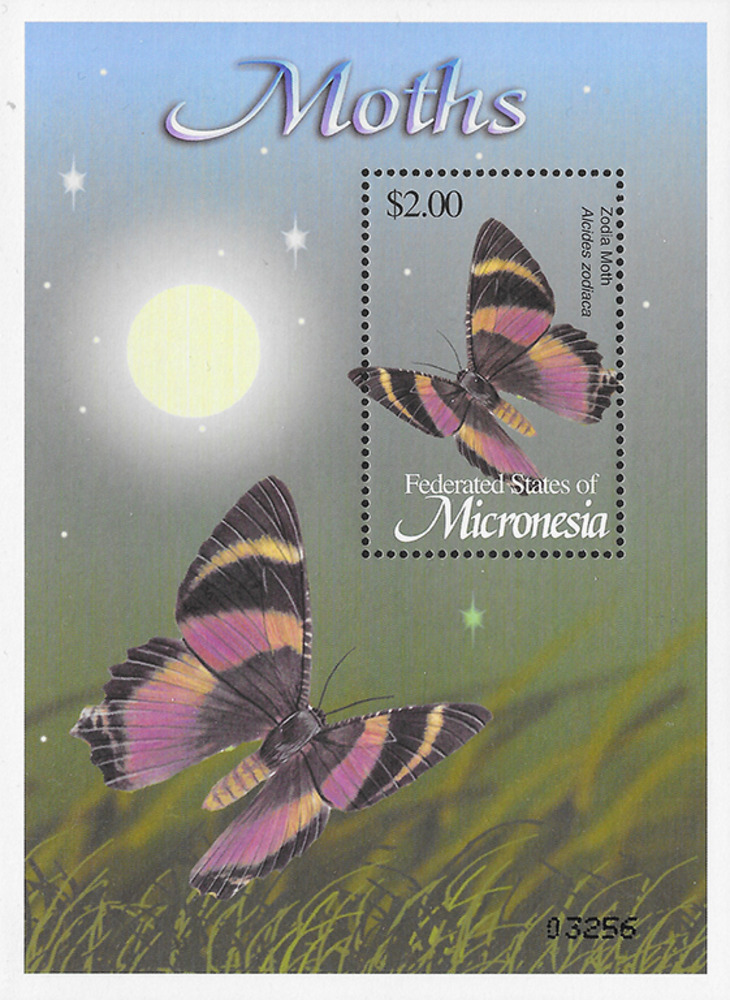 Mikronesien 2002 ** - Nachtfalter