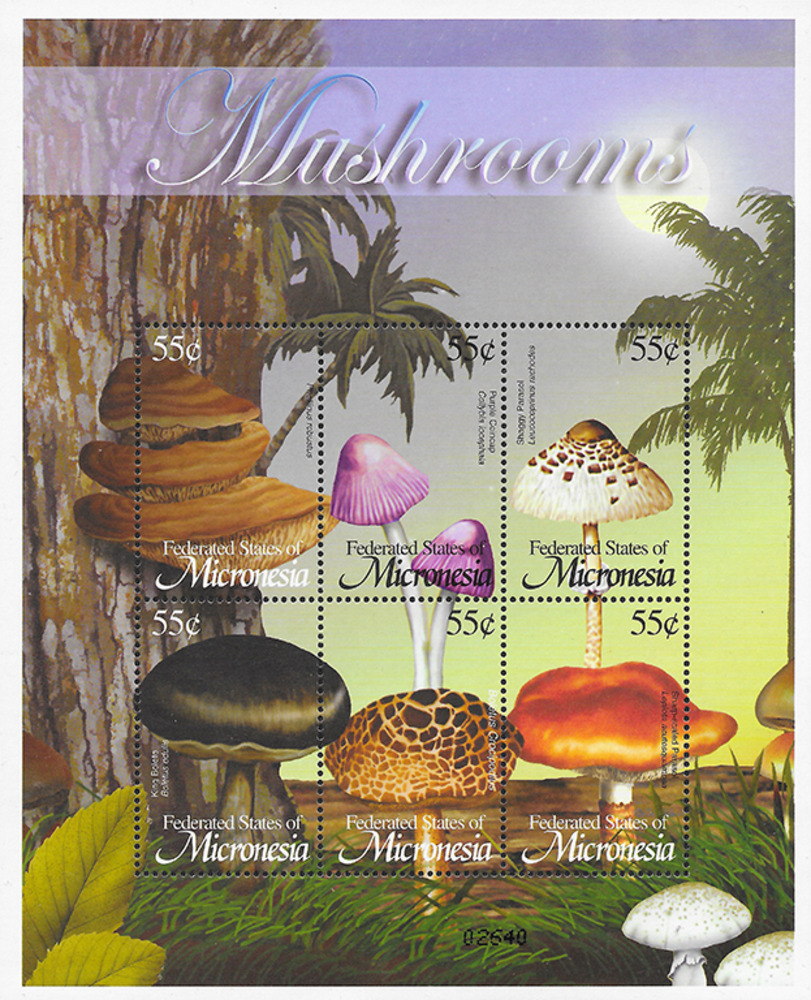 Mikronesien 2002 ** - Pilze Mikronesien 2002 ** - Pilze