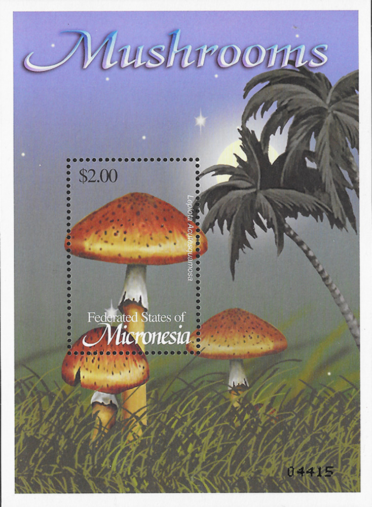 Mikronesien 2002 ** - Rauher Schirmling, Pilze Mikronesien 2002 ** - Rauher Schirmling, Pilze