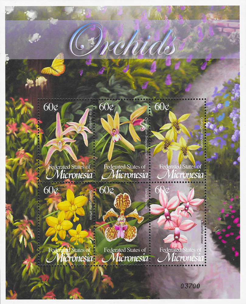 Mikronesien 2002 ** - Orchideen Mikronesien 2002 ** - Orchideen