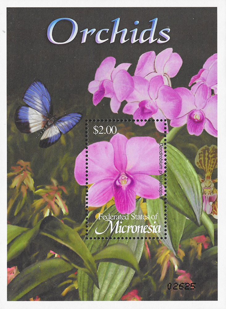 Mikronesien 2002 ** - Dendrobium phalaenopsis Mikronesien 2002 ** - Dendrobium phalaenopsis
