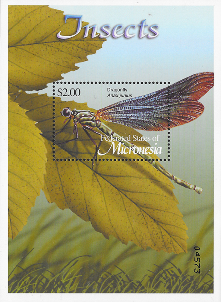 Mikronesien 2002 ** - Insekten und Spinnen Mikronesien 2002 ** - Insekten und Spinnen