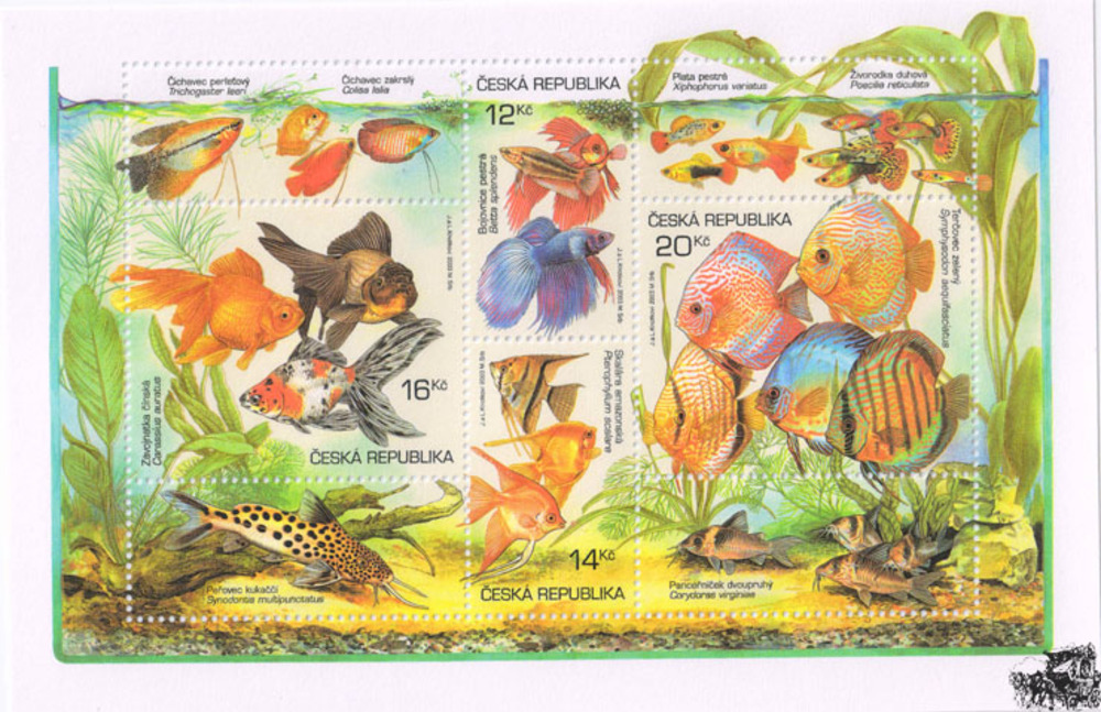 Tschechien ** 2003 - Bl.19 Aquarienfische Tschechien ** 2003 - Bl.19 Aquarienfische