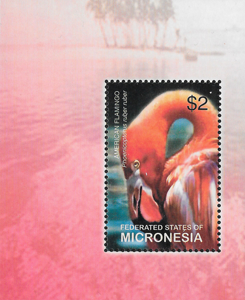 Mikronesien 2003 ** - Großer Flamingo