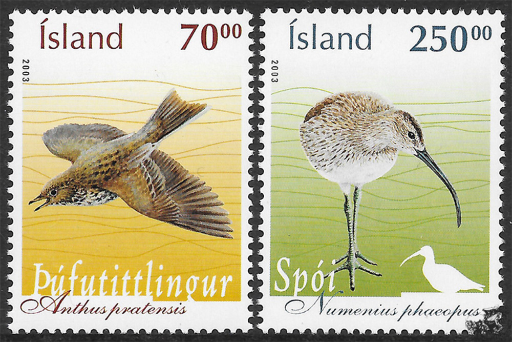 Island 2003 ** - Vögel 