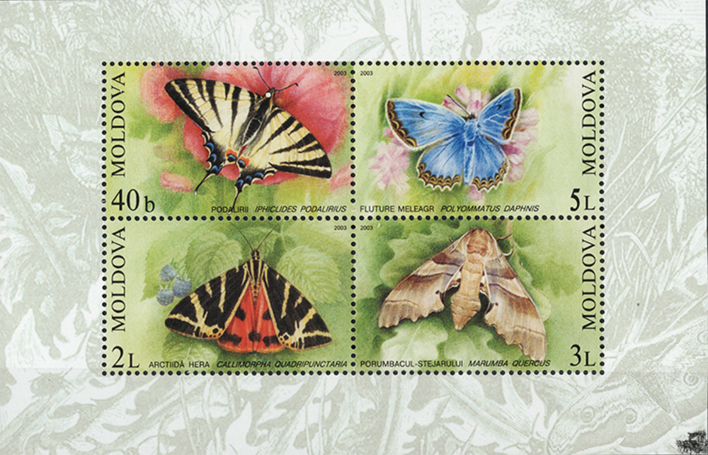 Moldawien 2003 ** - Schmetterlinge