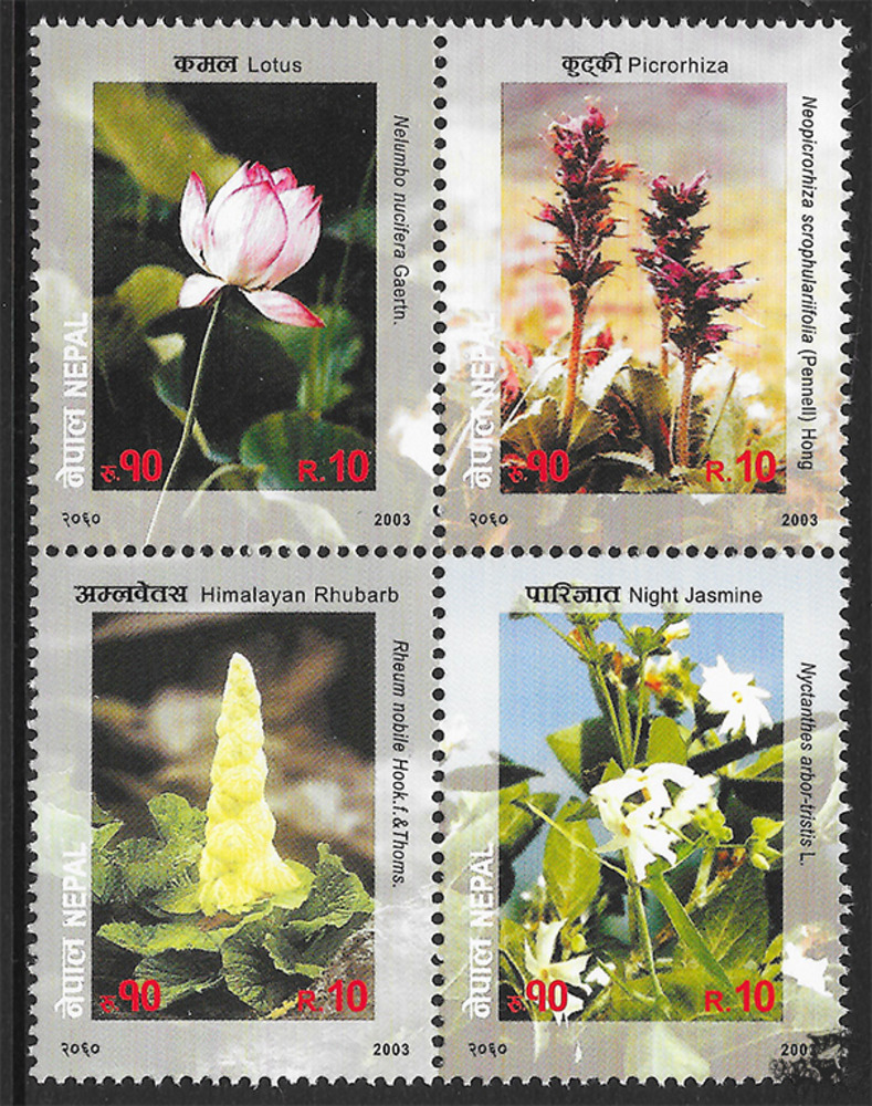 Nepal 2003 ** - Blütenpflanzen
