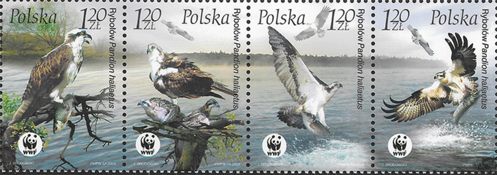 Polen 2003 ** - Fischadler