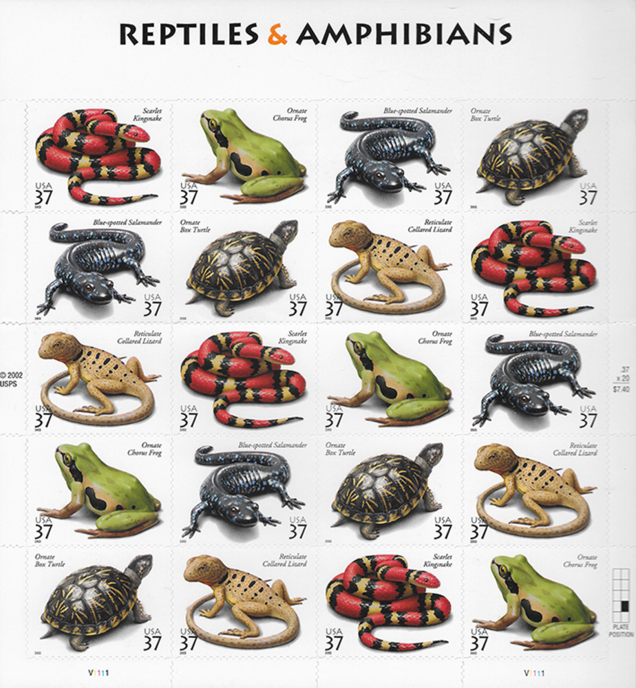 USA 2003 ** - Reptilien und Amphibien