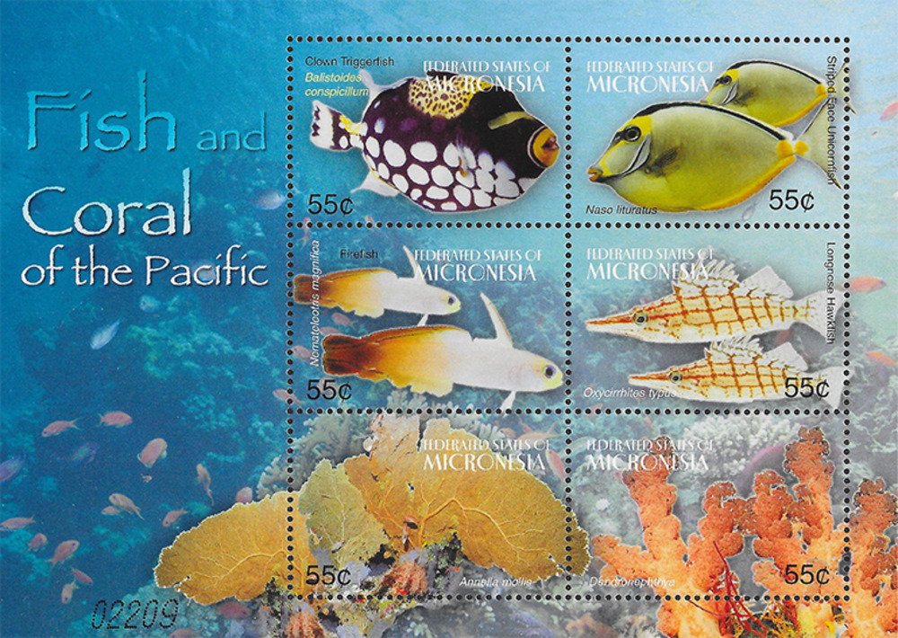 Mikronesien 2004 ** - Fische und Korallen des Pazifiks Mikronesien 2004 ** - Fische und Korallen des Pazifiks