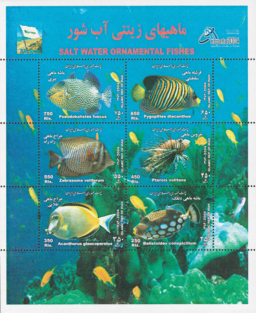 Iran 2004 ** - Korallenfische