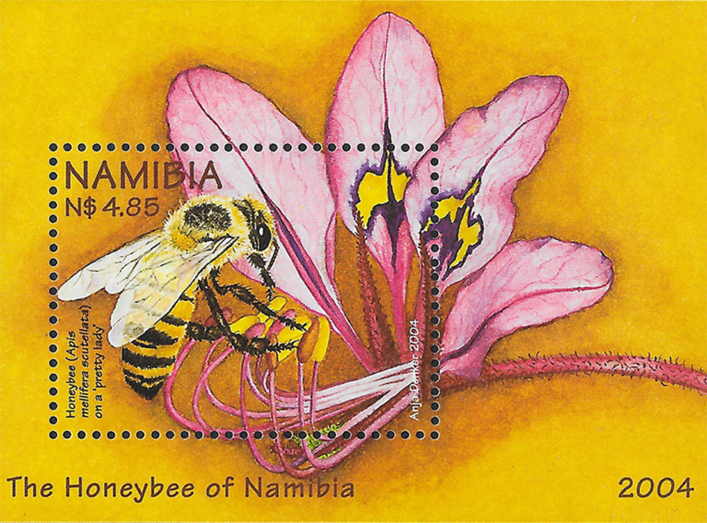 Namibia 2004 ** - Honigbiene
