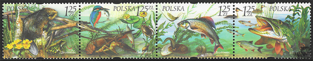 Polen 2004 ** - Tiere und Pflanzen der Süßwassergebiete