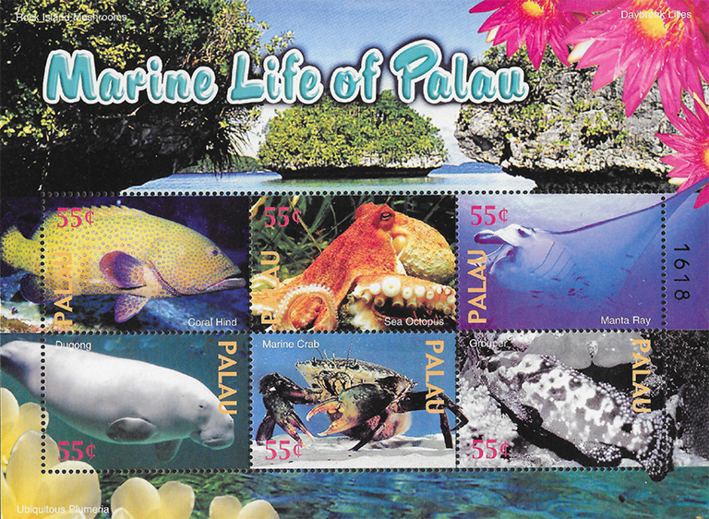 Palau ** - Fauna und Flora des Meeres um Palau