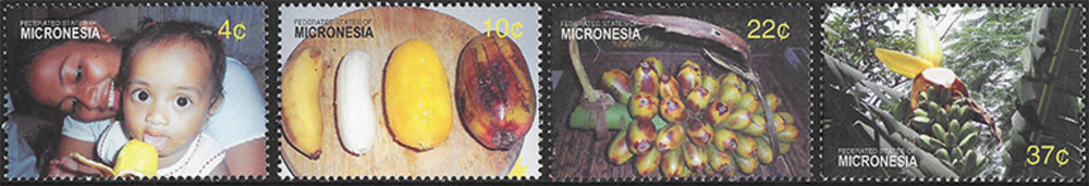 Mikronesien 2005 ** - Bananenanbau