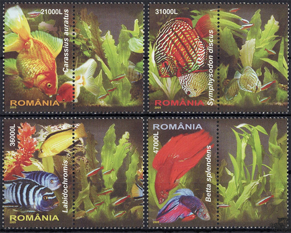 Rumänien 2005 ** - Zierfische