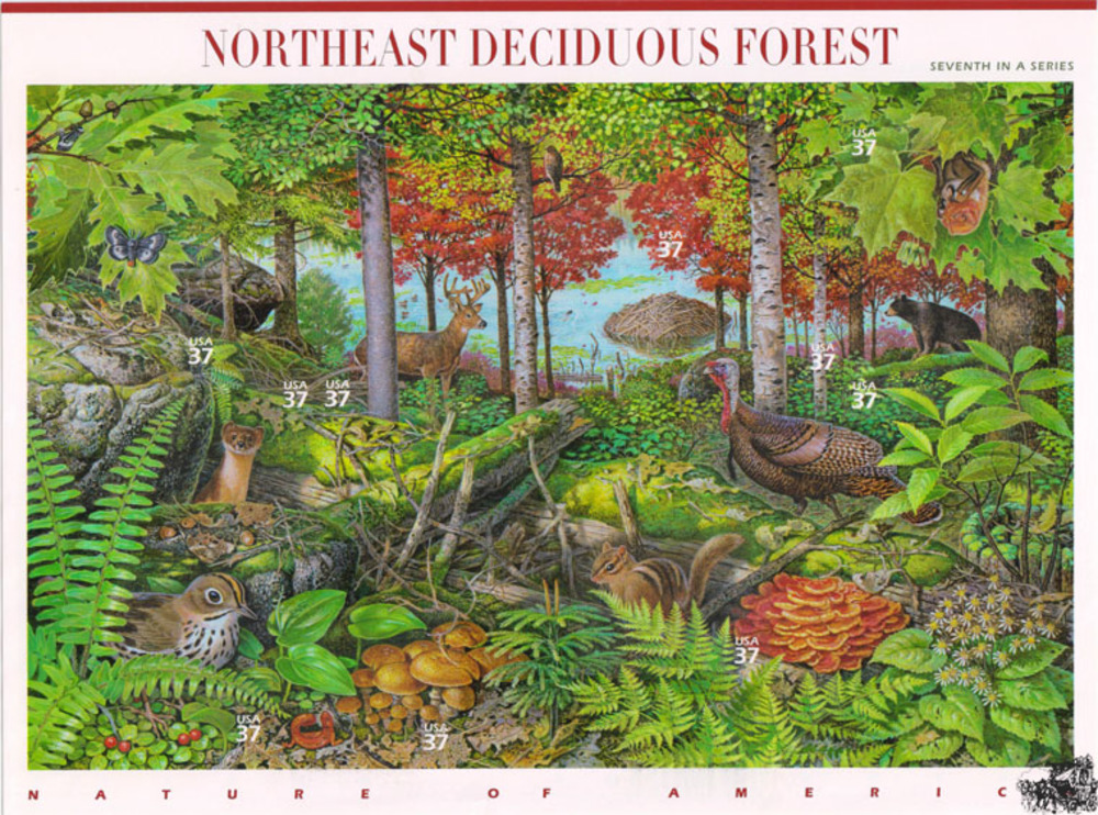 USA 2005 **, $ 3,70 - Laubwald im Nordosten USA 2005 **, $ 3,70 - Laubwald im Nordosten