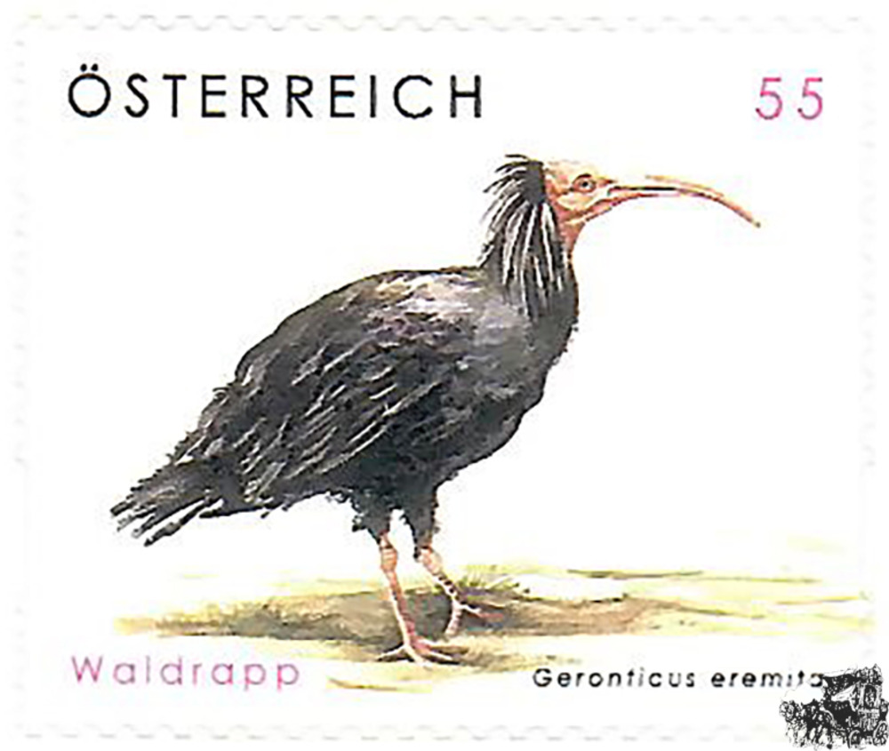 Österreich 2006 o - € 0,55 - Tierschutz - Waldrapp