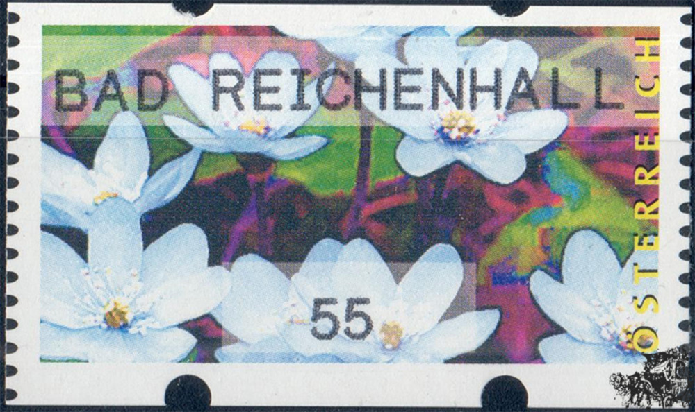 Österreich 2006 Automatenmarke ** - € 0,55 - Leberblümchen: Bad Reichenhall