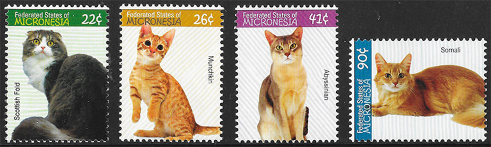 Mikronesien 2007 ** - Katzen