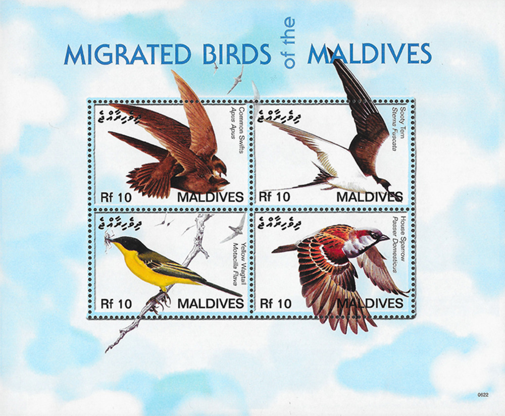 Malediven 2007 ** - Vögel Malediven 2007 ** - Vögel