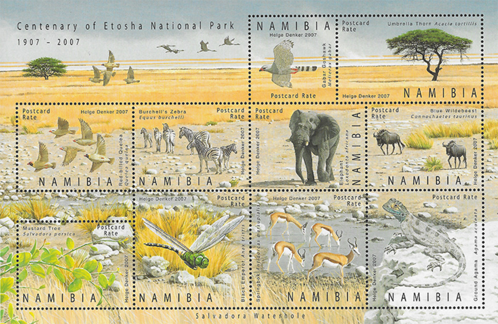 Namibia 2007 ** - 100 Jahre Etoscha-Nationalpark (I)