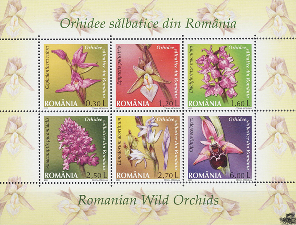 Rumänien 2007 ** - Wildwachsende Orchideen