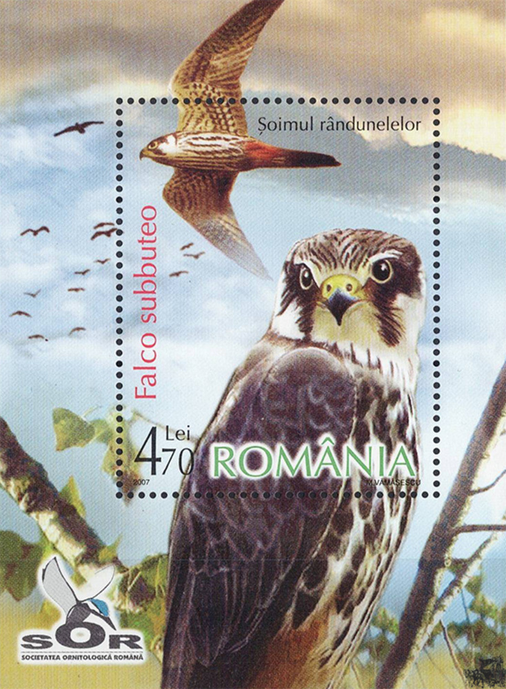 Rumänien 2007 ** - Baumfalke 