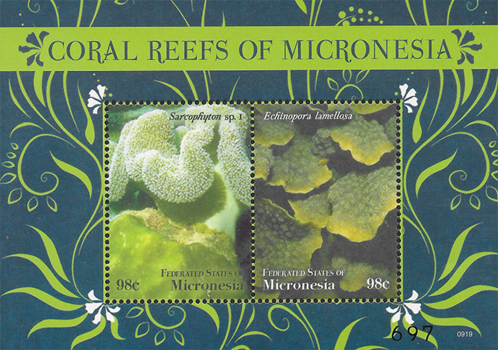 Mikronesien 2009 ** - Korallen