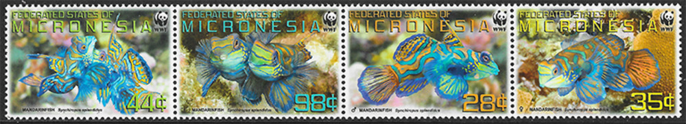 Mikronesien 2009 ** - Glänzender Mandarinfisch