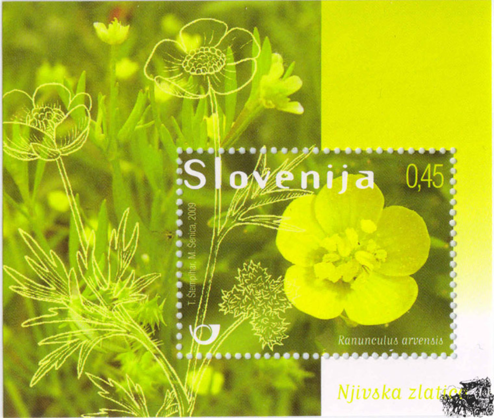 Slowenien 2009 **, € 0,45 Feldblumen- Bl. 42 Slowenien 2009 **, € 0,45 Feldblumen- Bl. 42