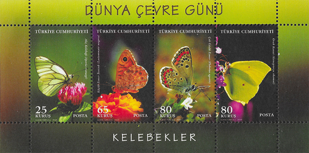 Türkei 2009 ** - Internationaler Tag der Umwelt - Schmetterlinge