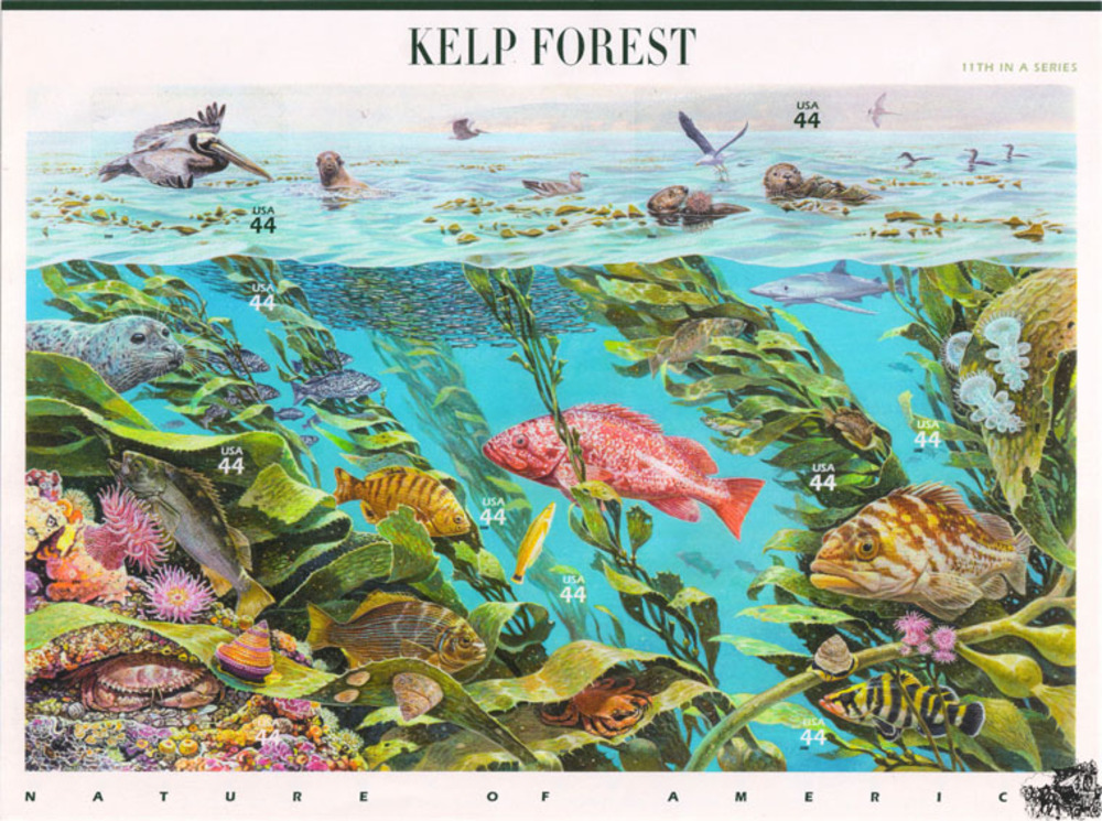 USA 2009 **, $ 4,40 - Kelpwald an der Pazifikküste. USA 2009 **, $ 4,40 - Kelpwald an der Pazifikküste.